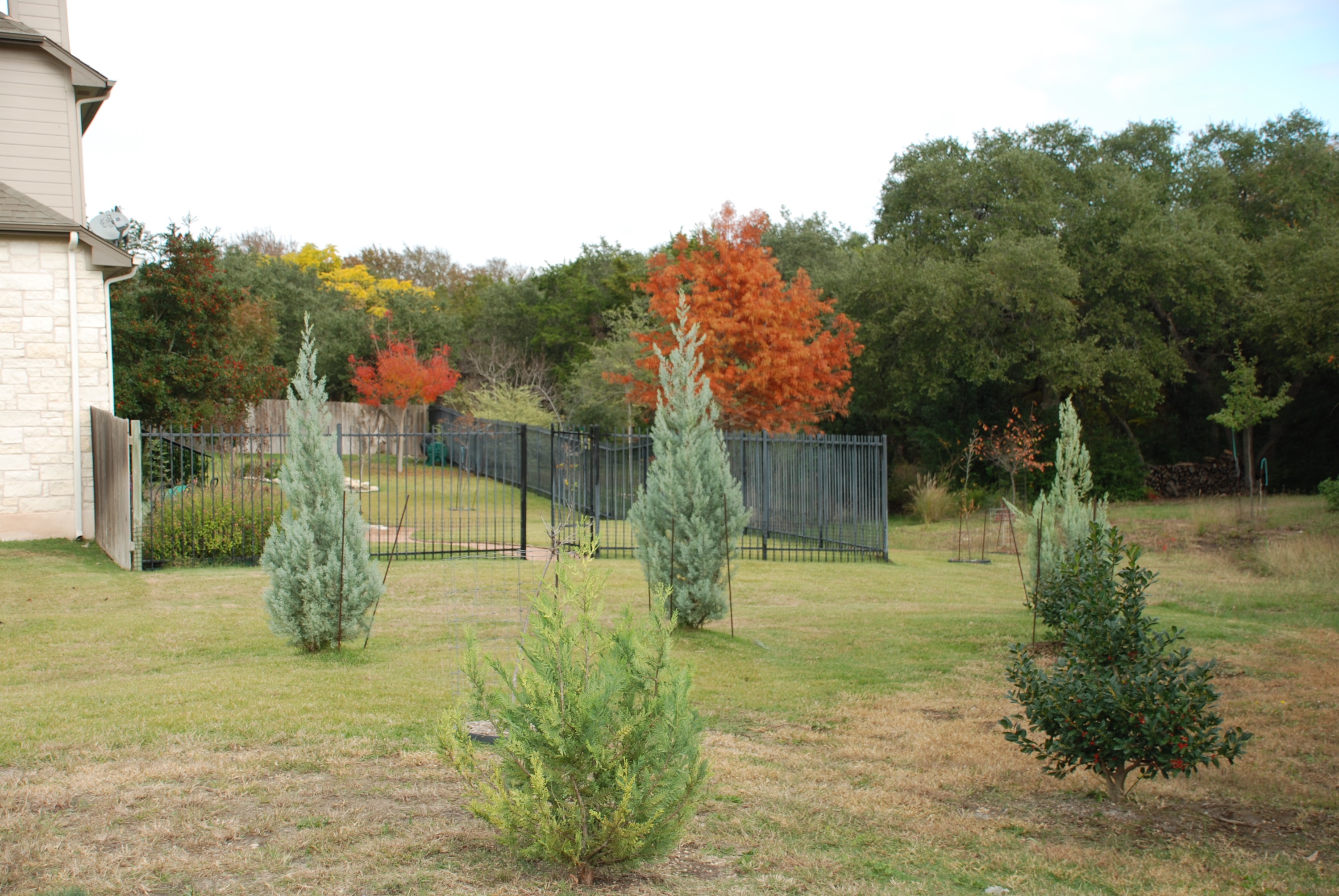 6607 Conifer Cove 51 78736.jpg